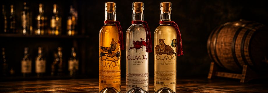 Sobre a Guaaja