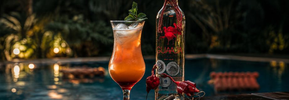 Drinks e Coquetéis